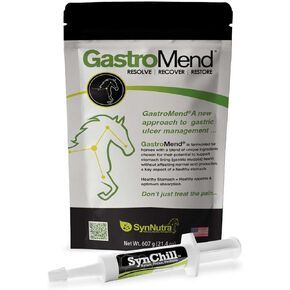 حزمة Synchill + Gastromend للخيول - 30 حصصًا - الدعم الشامل للصحة والسلوكية ، والمساعدات في تخفيف قرحة المعدة ، وتعزز الهدوء والتركيز ، كلها طبيعية وفعالة من حيث التكلفة