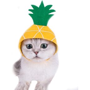 لا la la pet pet hat الأناناس أرفار الرأس الكلب قطة تنفس cap pet funny hat cat cat محرك عيد الهالوين للقطط والكلاب الصغيرة الملحقات الملحقات للحيوانات الأليفة الإكسسوارات