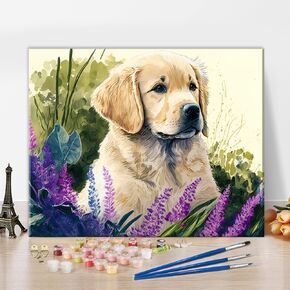 Tumovo Animal Paint by Numbers Kit for البالغين للمبتدئين الأزواج اللافندر أفكار الهدية البسيطة لوحة Golden Retriever Dog مع إطار الدهانات زيت زيت للمنزل 16 "WX20 H