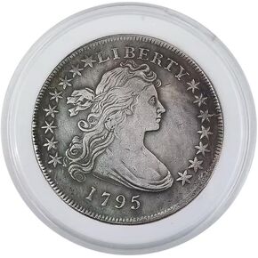 1795 سنة عملة الدولار مع حالة عرض Liberty American Liberty Coin United States Of America Coin Coin Souner