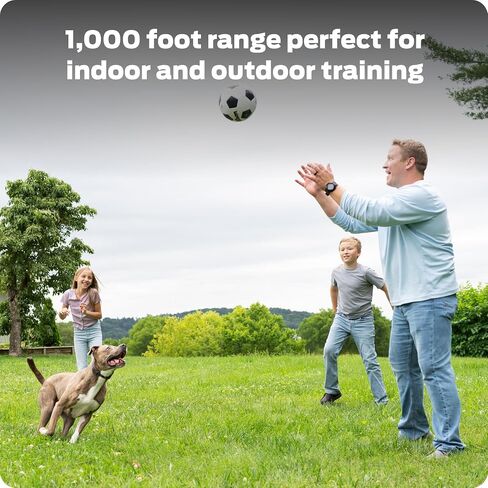 Dog Static Collar - 1000ft Dog Training Collar 2-Dog Bundle with Remote Dogs - Rechargeable Waterproof with 3 Training Modes - Tone Vibration & 16 Levels of Safe Static in Kuwait