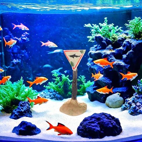 Fish Tank Decorations, Aquarium Decorations, Fish Tank Decorations, Technology Decorations, Shark Logo Decorations, Shark Patterns (1, Skull) in Saudi Arabia