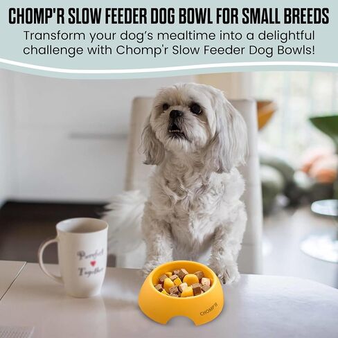 CHOMP'R Mini Interactive Slow Feeder Dog Bowls, Anti-Bloating Pet Slow Feeder Bowls, Ideal for Small Breed Dogs, Cats, and Puppies in Kuwait