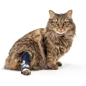 Balto Feline Hock Brace-Cat Onkle Brace-Brace with Glints Aluminium-تساعد الجراحة قبل/ما بعد ذلك على دعم التهاب المفاصل والمفاصل غير المستقرة-دعم الساق الخلفية (XX-Small)