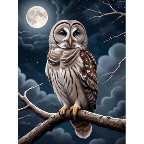 Qazwsx Owl Diamond Art Kits للبالغين ، Owl DIY 5D جولة كاملة الحفر الماس ، مجموعات الفن الأحجار الكريمة لديكور الجدار المنزلي ، طقم الماس الطيور 12x16 بوصة