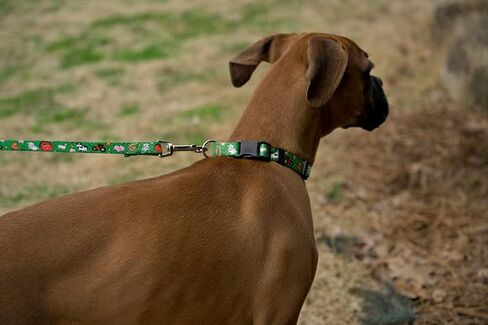 Country Brook Petz - Deluxe Farm Life Y'all Dog Collar - Made in The U.S.A. - Critter Corner Collection Featuring Creature Themed Designs (1 Inch, Large) in Kuwait