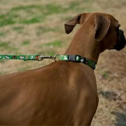 Country Brook Petz - Deluxe Farm Life Y'all Dog Collar - Made in The U.S.A. - Critter Corner Collection Featuring Creature Themed Designs (1 Inch, Large) in Kuwait