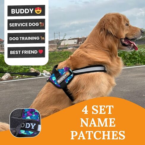 Dog Harness, No-Pull, 3 Leash Clips, No Choke, Reflective, Adjustable and Padded, for Easy Walking and Training for Small, Medium and Large Dogs (Diamond-Blue, M) in Kuwait