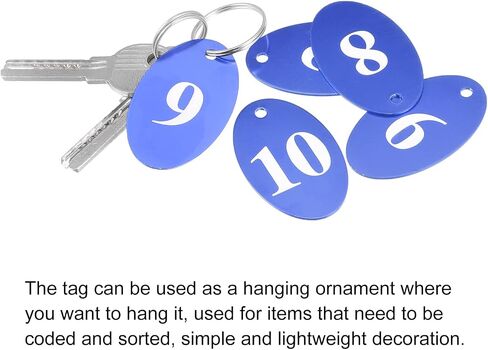 MECCANIXITY Oval Number Tags Key Tag with Ring, 1-50 Numbered Blue Aluminum ID Tag for Coding, Decoration, Pack of 50 in Kuwait