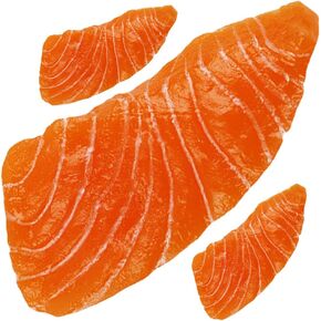 Toyvian 3pcs Simulation Salmon Props Props حقيقية المظهر الغذاء اللحوم المأكولات البحرية نموذج الأطفال محاكاة الأسماك