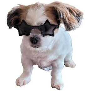 G045-Jnst Dog 15-25 رطل صغير إلى متوسطة سلالات النجوم النجمة الجرو Cat Pet Sunglasses (أسود)