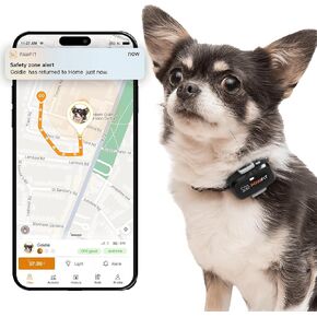 Lite for Small Dogs 4g GPS Tracker | Real Time Tracking | Activity Monitoring |Location History | Unlimited Range | Onyx Black