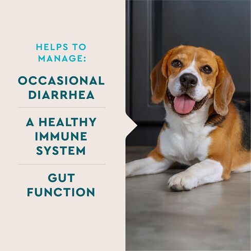 VetIQ Digestive Probiotic Powder for Dogs, 30 Packets in Saudi Arabia