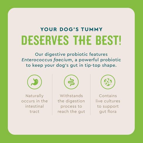 VetIQ Digestive Probiotic Powder for Dogs, 30 Packets in Saudi Arabia