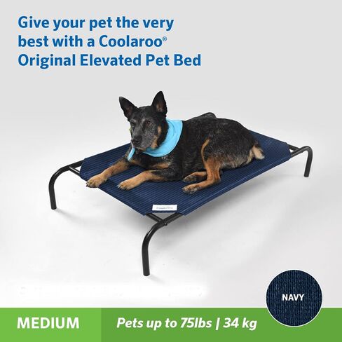 Coolaroo 474676 Original Elevated Pet Bed, Extra Large, Brunswick Green in Saudi Arabia
