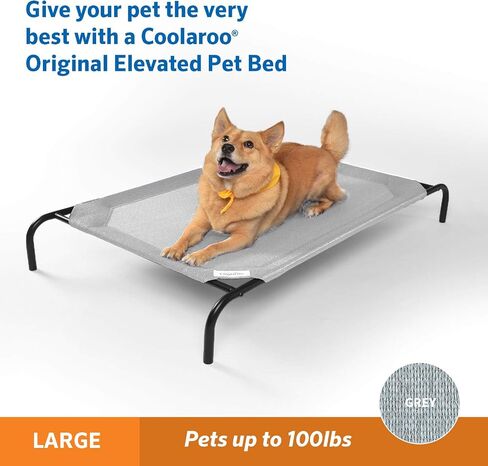 Coolaroo 474676 Original Elevated Pet Bed, Extra Large, Brunswick Green in Saudi Arabia