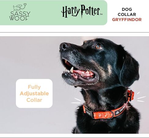 طوق الكلاب Harry Potter ™ Gryffindor - M ، قابلة للتعديل ، متينة ، مريحة وأنيقة للحيوانات الأليفة للكلاب المتوسطة - مرخصة رسميًا in Saudi Arabia