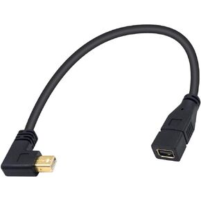 Duttek 30cm 90 Degree Mini DisplayPort Male to Mini DisplayPort DP Female Extension Cable (Mini DP Male to Mini DP Female Adapter) for iMac & LED Cinema Display (Down Angled)