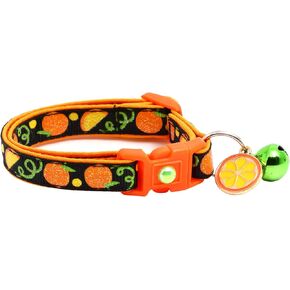 Orange Cat Collar with Charm & Bell | Safety Breakaway Collar | Adjustable Large Size or Kitten Collar (Aqua, Large(10lbs & Up))