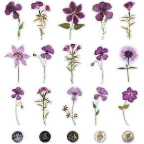 40pcs Pet Purple المجفف بالزهرة شمع ملصقات الشفافة الشفافة فينيل ملصق ملصقات شارات واضحة لخلاصات الحرف الحائط الزجاجات مظاريف السيارات مجلة مجلة