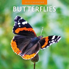 Red Robin 2025 Butterflies Monthly Wall Calendar | 12" x 24" Open | Premium Thick & Sturdy Paper | Hangable 12 Month Calendar | Plastic Free | 4 Month Transition Page for 2024