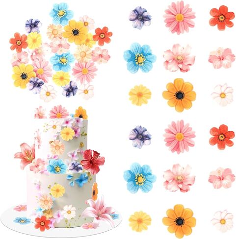 Rsstarxi 60 Pack Flowers Edible Cupcake Toppers Rice Paper Daisy Sunflower Cherry Blossom Cupcake Picks Decoration for Spring Summer Baby Shower Wedding Birthday Party Cake Decorations in Saudi Arabia