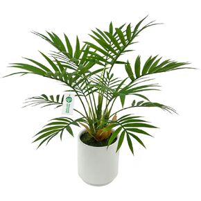 BESAMENATURE Artificial Palm Tree Plant, Potted Artificial Plant for Home Office Decoration, 12" Tall, Ships in White Ceramic Planter