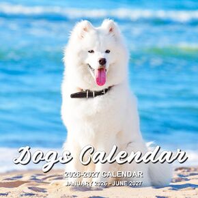 Calendar 2025-2026 - 18 Month Wall Calendar 2025-2026 JUL 2025 - DEC 2026, 2025-2026 Wall Calendar, Large Blocks, Calendar Wall for School Home Office Organizing & Planning, 12" x 24"(open)