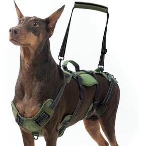 Bingpet Dog Lift Tharness للكلاب المتوسطة ، دعم كامل لإعادة تأهيل الكلاب الناقل مع مقابض ، سترة مساعدة في التنقل متعددة الوظائف لإصابات المفاصل الأليفة العليا ، التهاب المفاصل ، م