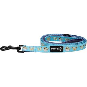 Star Wars™ The Mandalorian™ Dog Leash 60-Inch with Neoprene Padded Handle - Comfortable, Durable, and Stylish for Small to Large Dogs in Kuwait