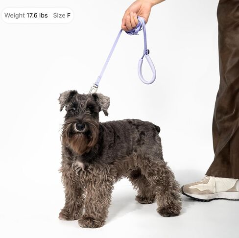 Ultra Lightweight Cat Leash Adjustable with Comfortable Padded Handle, Soft Thin Nylon Cat Walking Training Waist Crossbody Leash for Kitten Small to Large Cats, Puppy, No Harness (Blurple) in Kuwait