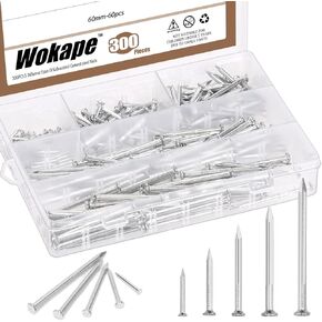 300Pcs Steel Nails Assortment Kit, 20MM 30MM 40MM 50MM 60MM White Galvanized Hardware Nails Cement Nails for Hanging Pictures, Wall Nails, Wood Nails, Finishing Nails, Household and DIY in Kuwait