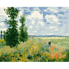 Meecaa Paint by Numbers Poppy Landscape Kit للبالغين المبتدئين DIY Painting 16 × 20 بوصة (حقل الخشخاش ، مؤطر)