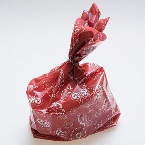 Fun Express Red Western Western Bandana Cellophane Party Party Acags - (36 Pack)