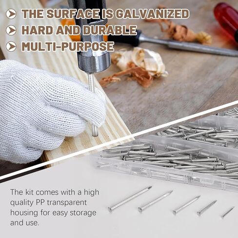300Pcs Steel Nails Assortment Kit, 20MM 30MM 40MM 50MM 60MM White Galvanized Hardware Nails Cement Nails for Hanging Pictures, Wall Nails, Wood Nails, Finishing Nails, Household and DIY in Kuwait