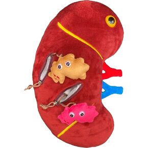 GIANTmicrobes Deluxe 12" Kidney Plush with Kidney Stones, Kidney Stuffed Animal, Kidney Transplant Gifts, Kidney Donor Gifts, Kidney Pillow, Urology Gifts, Nephrology Gifts, Dialysis Nurse Gifts