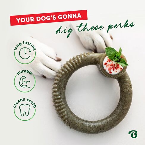 Benbone Peppermint Ring - نكهة عطلة محدودة الإصدار ، لعبة مضغ متينة للمضغات العدوانية ، المصنوعة في الولايات المتحدة الأمريكية ، المتوسطة in Kuwait