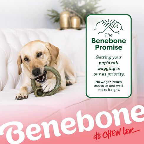 Benbone Peppermint Ring - نكهة عطلة محدودة الإصدار ، لعبة مضغ متينة للمضغات العدوانية ، المصنوعة في الولايات المتحدة الأمريكية ، المتوسطة in Kuwait