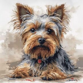 Anglaniu Yorkshire Terrier 11ct Cross Stitch Kit للبالغين ، 9 × 9 بوصات ، متعددة الألوان ، الحديثة ، للجنسين ، القماش القابل للذوبان في الماء ، أنماط مضادة للهاءات
