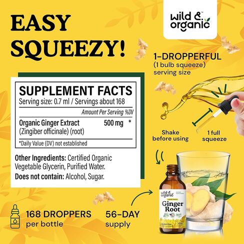 Ginger Liquid Extract - Organic Ginger Root Drops - Ginger Supplements for Digestive Support - Vegan, Alcohol Free Tincture - 2 fl oz in Saudi Arabia