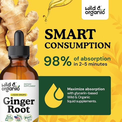 Ginger Liquid Extract - Organic Ginger Root Drops - Ginger Supplements for Digestive Support - Vegan, Alcohol Free Tincture - 2 fl oz in Saudi Arabia