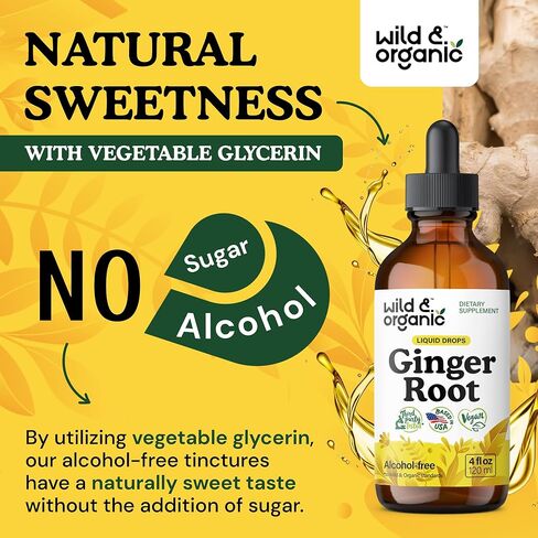 Ginger Liquid Extract - Organic Ginger Root Drops - Ginger Supplements for Digestive Support - Vegan, Alcohol Free Tincture - 2 fl oz in Saudi Arabia