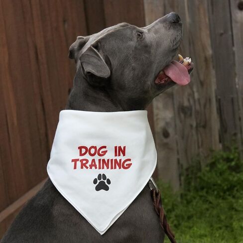 GRAPHICS & MORE Dog in Training with Paw Print Dog Pet Bandana - Black in Saudi Arabia