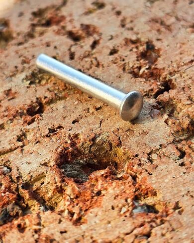 M6*20mm Brazier Head Solid Aluminum Rivets, Pack of 70 in Kuwait