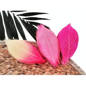 Skeleton Leaves Natural Rubber Tree for DIY Crafts Card Scrapbook Wedding Photo Albums, Seasonal Gifts, Small Leaves Decorative (Gray-Black)