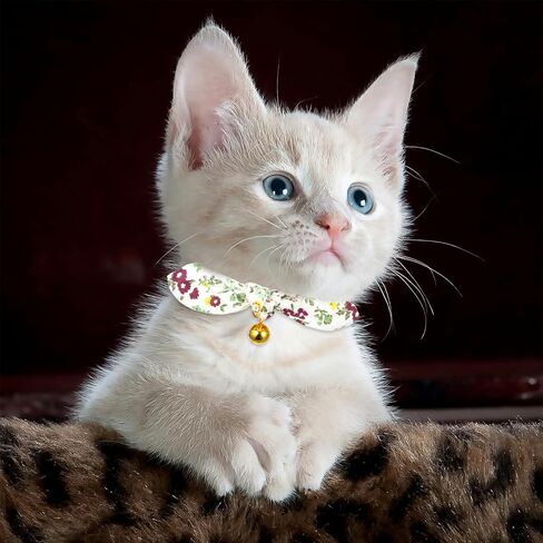 2PCS Cat Propaway مع أجراس ، طوق القطط القابل للتعديل مع القوس ، طوق القطط الوردي للفتاة والقطط الصبي in Kuwait