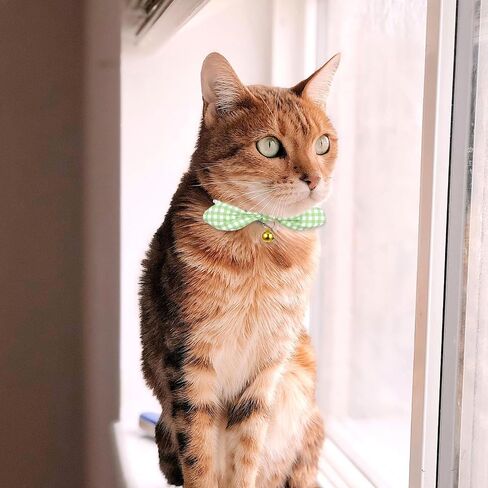 2PCS Cat Propaway مع أجراس ، طوق القطط القابل للتعديل مع القوس ، طوق القطط الوردي للفتاة والقطط الصبي in Kuwait