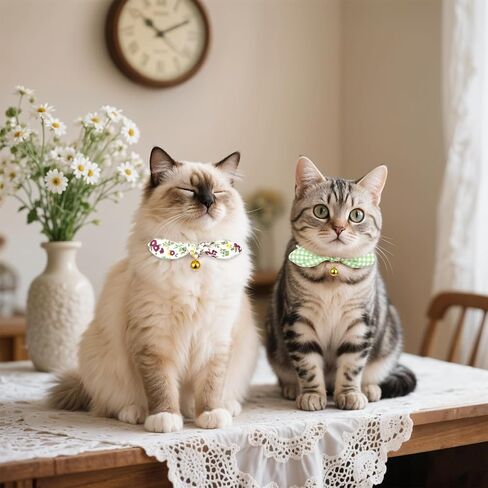 2PCS Cat Propaway مع أجراس ، طوق القطط القابل للتعديل مع القوس ، طوق القطط الوردي للفتاة والقطط الصبي in Kuwait