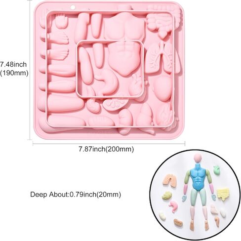 stiesy 2 pcs 6 تجويف جسم الإنسان موضوع قوالب السيليكون القابلة لإعادة الاستخدام 3D الجهاز السيليكون فندان كعكة القالب شكل القلب قوالب لخبز الصابون ديي الحلوى الشوكولاتة الإبداعية تدوير الهالوين ديكور الهالوين in Kuwait