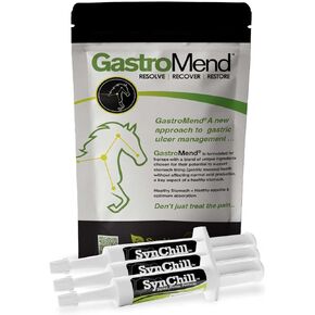 Synchill 3 Pack + Bundle Gattromend للخيول - الدعم الشامل لصحة المعدة والسلوك ، والمساعدات في قرحة المعدة ، وتعزز الهدوء والتركيز ، كلها طبيعية وفعالة من حيث التكلفة